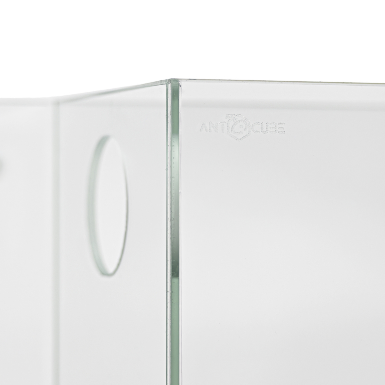 wall - ant arena - 30x15x30